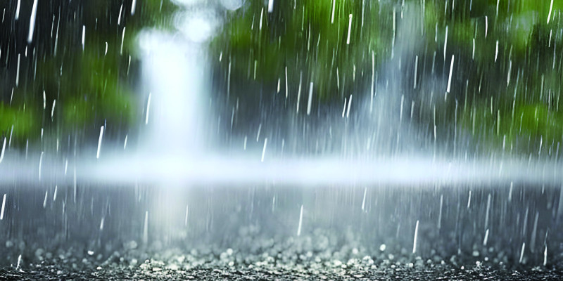 The picture shows rain falling on a tarmac surface. In the background, it is possible to make out a fuzzy image of vegetation. 