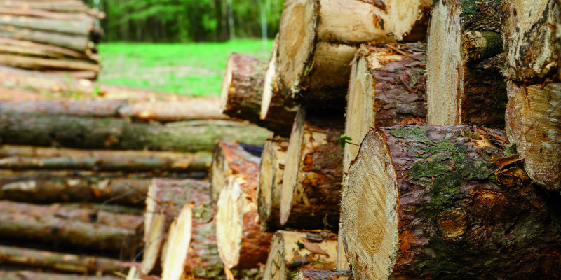 The picture shows a stack of timber.