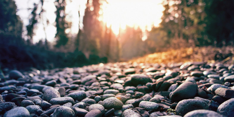 Das Bild zeigt ein ausgetrocknetes Flussbett bei tiefstehender Sonne. Im Hintergrund sind verschwommen Bäume zu erkennen.