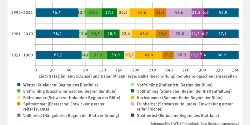 Die Abbildung BD-I-1 "Phänologische Veränderungen bei Wildpflanzenarten" zeigt in einem Balkendiagramm Eintritt und Dauer der phänologischen Jahreszeiten von 1951 bis 2021. Der Winter, Frühling und Hochsommer sind kürzer geworden, der Frühsommer länger (+2 Tage). Besonders der Frühherbst hat sich verlängert: Von durchschnittlich 30 Tagen (1951–1980) auf 46 Tage (1992–2021) und beginnt früher. Eine Trendanalyse wurde nicht durchgeführt.