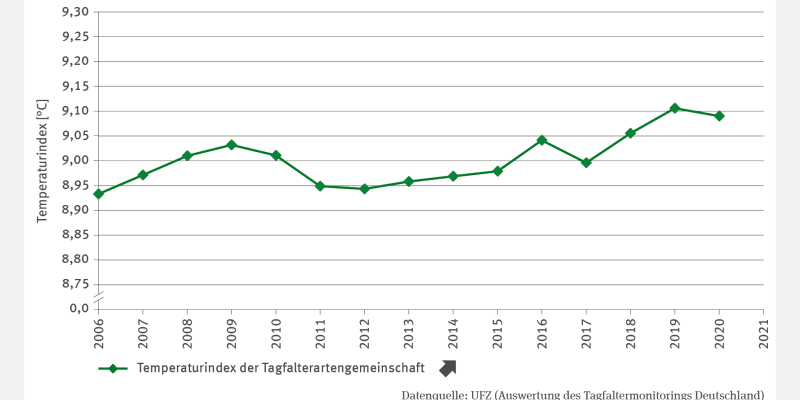 Die Abbildung BD-I-3 "Temperaturindex der Tagfalterartengemeinschaften" zeigt ein Liniendiagramm des Temperaturindex in °C von 2006 bis 2021. Der Index stieg signifikant von 8,9 °C im Jahr 2006 auf 9,1 °C im Jahr 2021. Der Anstieg verlief jedoch nicht kontinuierlich: Rückgänge gab es 2010, 2011 und 2017. Der Index verdeutlicht klimatische Veränderungen und deren Einfluss auf die Tagfalterartengemeinschaften.