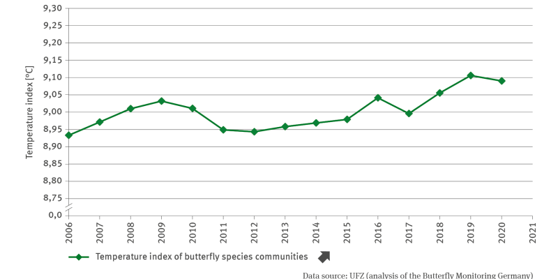 The illustration BD-I-3 ’Temperature index of butterfly species communities’ contains a line chart indicating the temperature index of butterfly species communities in degrees Celsius. In the illustrated period of 2006 to 2021 the line rises significantly. While the index for 2006 amounted to approximately 8.9 degrees Celsius, in 2021 the value amounted to approximately 9.1 degrees Celsius. However, the increase did not proceed continuously. In 2010 and 2011, the index value dropped, and also in 2017, the v