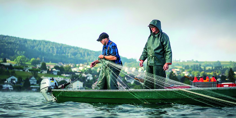 Das Bild zeigt zwei Männer in wasserfester Arbeitskleidung, die auf dem Bodensee in einem kleinen Boot stehen. Einer von ihnen hält ein Fischernetz in den Händen. Er scheint es aus dem Wasser zu ziehen. Im Hintergrund ist das Ufer mit einer Siedlung zu erkennen.