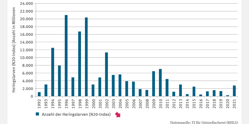 Die Abbildung FI-I-2 "Heringslarven im Greifswalder Bodden" zeigt die Anzahl der Heringslarven (N20-Index) in Millionen. Der höchste Wert von über 21 Milliarden Larven wurde 1996 erreicht. In den 1990er Jahren gab es mehrere Jahre mit zweistelligen Milliarden-Werten. Nach 2002 fielen die Werte deutlich, mit den besten Ergebnissen 2009 und 2010. 2014, 2016 und 2020 wurden weniger als 1 Milliarde Larven ermittelt, der niedrigste Wert lag 2020 bei 239 Millionen. Die Zeitreihe zeigt einen signifikant fallenden 