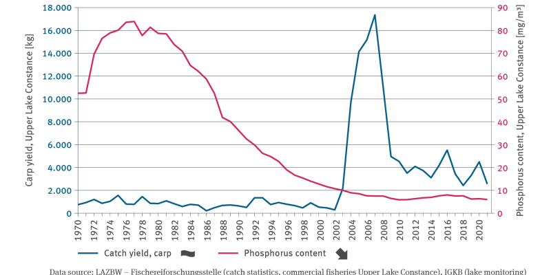 to 87 milligrammes per cubic metre. Thereafter the value decreased almost continuously until 2003 to less than 10 milligrammes and has been oscillating around this value since then. Another line shows the carp yield in Upper Lake Constance.