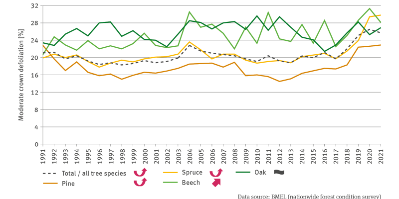 The line chart FW-I-3 ’Forest condition’ indicates – differentiated by the tree species of spruce, oak, pine and beech and all tree species combined – the crown defoliation mean in per cent for the period of 1991 to 2021. The time series for beech and oak indicate a more fluctuating progress than the time series for pine and spruce. With the exception of crown defoliation in oak which is not showing any distinct trend, crown defoliation in other tree species