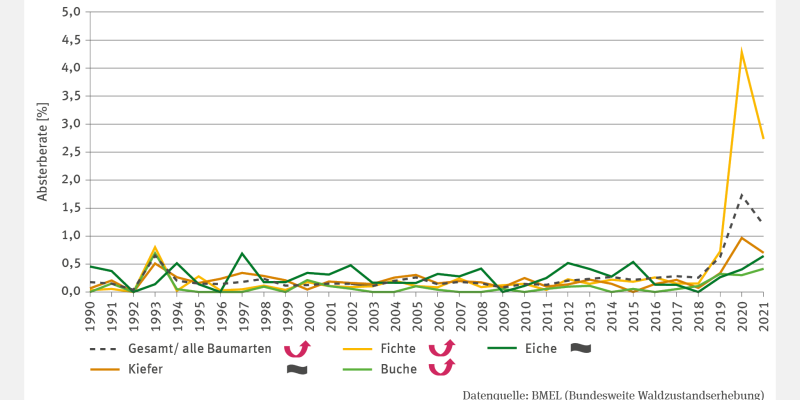 Das Liniendiagramm FW-I-4 "Absterberate" zeigt die jährliche Absterberate in Prozent für Kiefer, Fichte, Buche, Eiche und die Gesamtheit dieser Baumarten von 1990 bis 2021. Bis 2018 lagen die Raten meist zwischen 0,0 und 0,5 %, wobei die Eiche oft etwas höhere Werte aufwies. Ab 2019 stiegen die Raten deutlich an, insbesondere 2020, als die Fichte eine Absterberate von 4,3 % erreichte. Für Fichte, Buche und alle Baumarten zusammen zeigt sich über den Gesamtzeitraum ein signifikanter Anstieg.