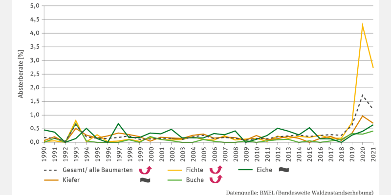 Das Liniendiagramm zeigt für die Baumarten Kiefer, Fichte, Buche und Eiche sowie die Gesamtheit dieser Baumarten die jährliche Absterberate in Prozent im Zeitraum von 1990 bis 2021.