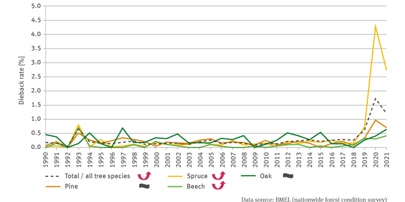 The line chart FW-I-4 ’Dieback rate’ shows – for the tree species of pine, spruce, beech and oak and for all these tree species combined – the crown defoliation mean in per cent for the period of 1990 to 2021. Up until 2018 the species-specific dieback rate fluctuated between 0.0 and 0.5 per cent. In those years, the dieback rate in respect of oak was mostly slightly higher than that of other tree species. In the years of 2019, 2020 and 2021 the dieback rates of all tree species increased distinctly. 