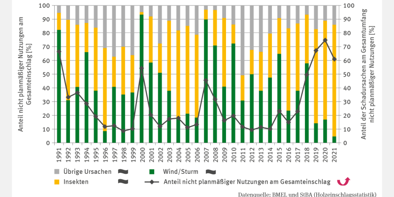 Das zweiachsige Diagramm FW-I-5 "Schadholz - Umfang nicht planmäßiger Nutzung" zeigt den Anteil nicht planmäßiger Nutzungen am Gesamteinschlag und die Schadursachen Wind/Sturm, Insekten sowie Übrige. Bis 1999 sank der Anteil nicht planmäßiger Nutzungen auf etwa 10 %, bevor 2000 und 2007 Werte von 45–55 % erreicht wurden. Ab 2016 stieg er signifikant auf 60 % (2021). Stürme prägten die Schadursachen 1991, 2000 und 2007, während zuletzt mit 80 % im Jahr 2021 Insekten dominierten.