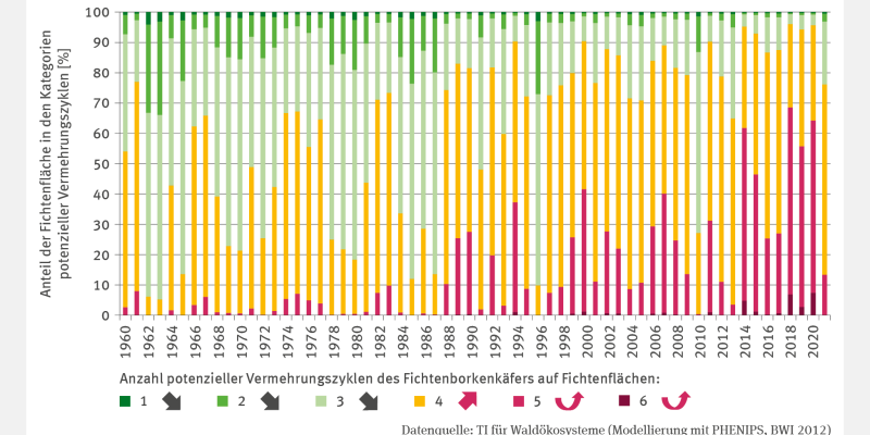 Das Stapelsäulendiagramm zeigt für die Jahre 1960 bis 2021, auf welchem Anteil in Prozent der Fichtenflächen Deutschlands eine bestimmte Anzahl potenzieller Vermehrungszyklen des Fichtenborkenkäfers möglich ist. 