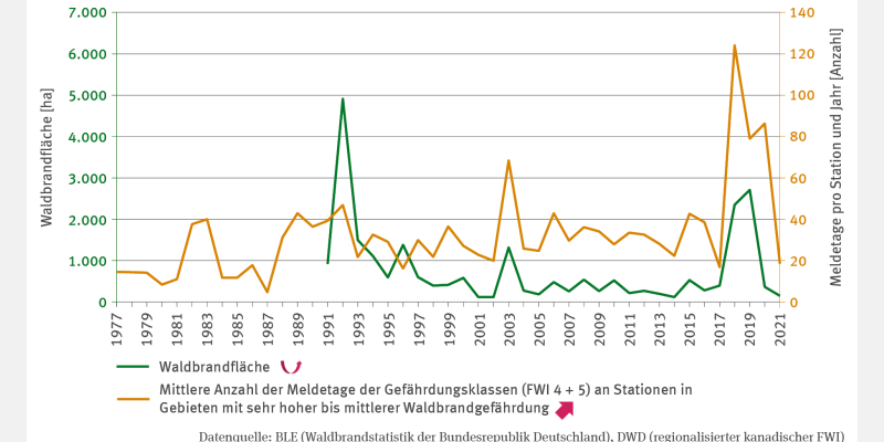 Das Liniendiagramm FW-I-8 „Waldbrandgefährdung durch Waldbrand“ zeigt die Entwicklung der Waldbrandfläche (in Hektar) und die mittlere Anzahl der Meldetage der Gefährdungsklassen (FWI 4 + 5) von 1977 bis 2021. Die Waldbrandfläche hatte von 1991 bis 2021 mehrere auffällige Peaks: 1992 erreichte sie knapp 5.000 Hektar, 1996 und 2003 jeweils rund 1.500 Hektar sowie 2018 und 2019 etwa 2.500 Hektar. Die Anzahl der Meldetage schwankte jährlich, stieg 2018–2020 deutlich auf 80 bis 120 Tage.