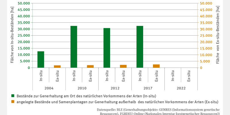 Das Säulendiagramm zeigt die Fläche von Beständen zur Generhaltung am Ort des natürlichen Vorkommens der Arten (In-situ) und angelegten Beständen und Samenplantagen zur Generhaltung außerhalb des natürlichen Vorkommens der Arten (Ex-situ) in den Jahren 2004, 2010, 2012, 2017 und 2022. Die Flächen der In-situ-Bestände ist von 2004 bis 2010 auf etwa 32.000 Hektar gestiegen. In den folgenden Erhebungsjahren verblieb diese Fläche auf einem ähnlichem Niveau. 