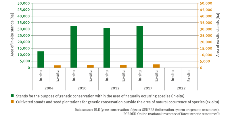 The bar chart FW-R-2 ‘Conservation of forest-genetic resources’ indicates the terrain of stands dedicated to the purpose of genetic conservation on the natural site (in-situ) of the occurrence of species and of stands and seed plantations cultivated for the purpose of genetic conservation outside their natural occurrence (ex-situ) in the years of 2004, 2010, 2012, 2017 and 2022 respectively. In the period of 2004 to 2010, the total terrain of in-situ stands increased to roughly 32,000 hectares. 