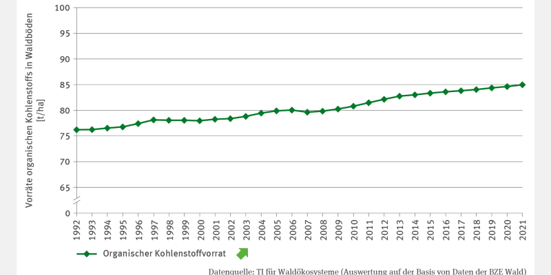 Die Abbildung zeigt für den Zeitraum von 1992 bis 2021 in Form eines Liniendiagramms die jährlichen Vorräte organischen Kohlenstoffs in Waldböden in Tonnen pro Hektar. Im Betrachtungszeitraum haben die Kohlenstoffvorräte kontinuerlich und signifikant von rund 75 Tonnen pro Hektar auf 85 Tonnen pro Hektar zugenommen,