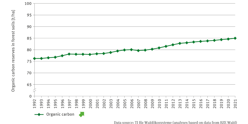 The illustration FW-R-3 ’Humus reserves in forest soils’ indicates – for the period of 1992 to 2021 – in the shape of a line chart, the annual reserves of organic carbon in forest soils in tonnes per hectare. During the observation period, carbon reserves increased continuously and significantly from roughly 75 tonnes per hectare to 85 tonnes per hectare.