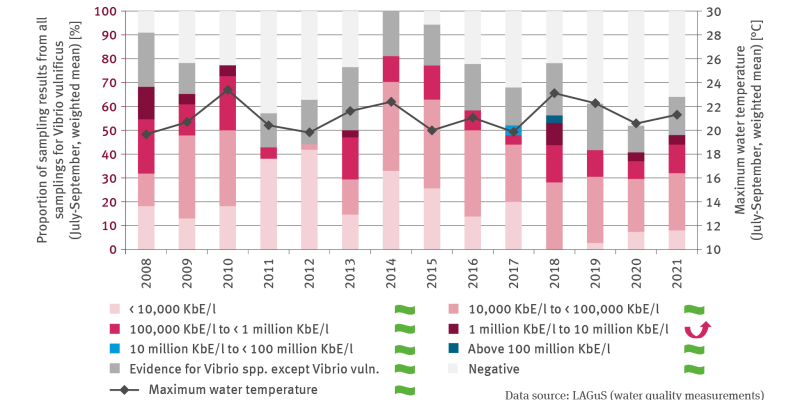 The illustration GE-I-7 ‘Health hazards from vibrios – case study’ contains a biaxial chart. The bars in the chart indicate, for the years of 2008 to 2021, the weighted proportions of sample results in all water samplings for Vibrio vulnificus in per cent. Taken into account were samplings at several stations along the coastline of the Baltic Sea taken between July and September. 