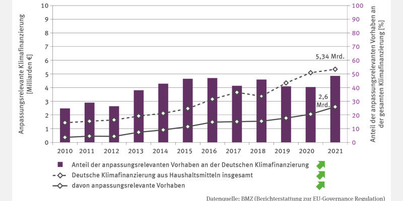Zwei Linien bilden von 2010 bis 2021 die Entwicklung der deutschen Klimafinanzierung aus Haushaltsmitteln insgesamt sowie als Teil davon die Finanzierung von anpassungsrelevanten Vorhaben ab.