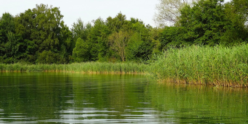 Wasserqualität in Seen