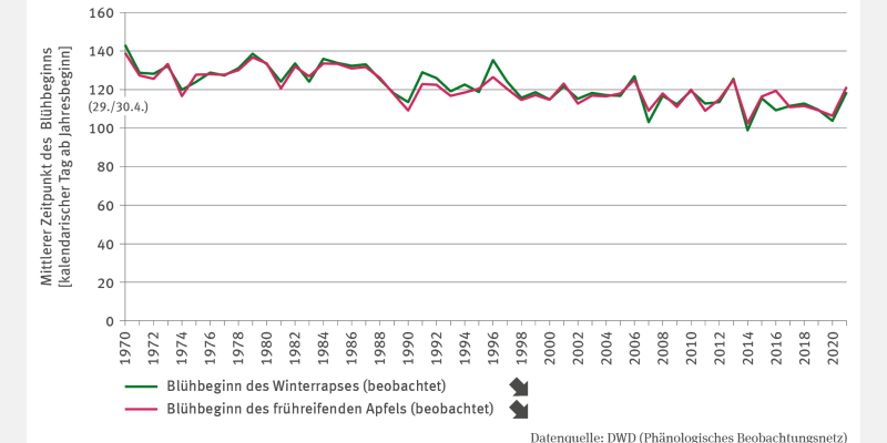 Das Liniendiagramm LW-I-1 "Verschiebungen agrarphänologischer Phasen" zeigt den mittleren Blühbeginn von Winterraps und frühreifendem Apfel als kalendarischen Tag ab Jahresbeginn für den Zeitraum 1970 bis 2021. Beide Zeitreihen weisen einen signifikant fallenden Trend mit jährlichen Schwankungen auf. Während der Blühbeginn 1970 noch um den 140. Tag des Jahres lag, fiel er 2021 auf etwa den 120. Tag, entsprechend dem 30. April beziehungsweise dem 29. April in Schaltjahren.