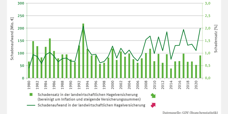 Bei der Abbildung LW-I-3 "Hagelschäden in der Landwirtschaft" handelt es sich um ein zweiachsiges Diagramm. Es bildet als Säulen den jährlichen Schadensatz in Prozent in der landwirtschaftlichen Hagelversicherung im Zeitraum von 1980 bis 2021 ab. Die Werte sind bereinigt um Inflation und steigende Versicherungssummen. Eine Linie zeigt den jährlichen Schadenaufwand in der landwirtschaftlichen Hagelversicherung in Millionen Euro im selben Zeitraum. 