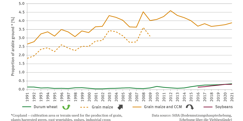 The line chart indicates – for the period of 1991 to 2021 – the proportion of the varieties durum, grain maize, grain maize combined with CCM as well as soybeans in terms of the size of the cultivation terrain in per cent. In this context the term ’cultivation terrain’ denotes the total cultivation area or terrain used for the production of grain cereals, plants harvested green, root vegetables, pulses and industrial crops. 