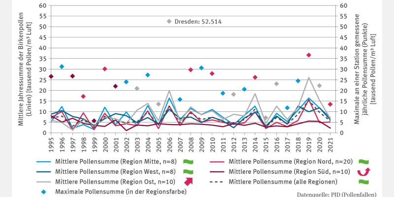 Die Grafik „Belastung mit Birkenpollen“ zeigt die mittlere Jahressumme in Tausend Pollen pro Quadratmeter Luft von 1995 bis 2021 für die Regionen Mitte, Nord, Ost, Süd, West und den Durchschnitt. Die Werte liegen zwischen zwei- und zwanzigtausend. In der Region Ost stiegen sie 2006, 2014 und 2019 über zwanzigtausend. Signifikant steigende Trends bestehen in Ost und Süd. Höchstwert: Dresden im Jahr 2006 mit 52.514 Pollen pro Quadratmeter Luft.