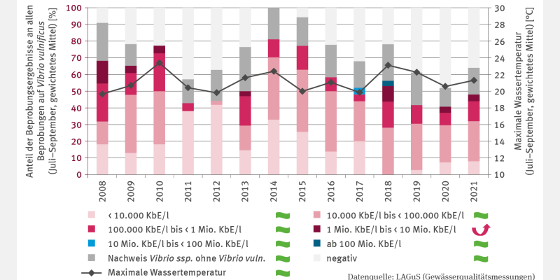 Bei der Abbildung handelt es sich um eine zweiachsige Grafik. Säulen zeigen für die Jahre von 2008 bis 2021 pro Jahr die gewichteten Anteile bestimmter Probenergebnisse an allen Wasserbeprobungen auf Vibrio vulnificus in Prozent. Auf der zweiten Achse ist anhand einer Linie die an den berücksichtigten Stationen gemesse maximale jährliche Wassertemperatur für denselben Zeitraum angegeben.Die höchsten Konzentrationen mit über 100 Millionen Koloniebildenden Einheiten pro Liter wurden 2018 ermittelt.