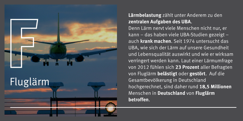 Eine Grafik mit einem Bild und Text. Es handelt sich hier um das Thema Fluglärm.