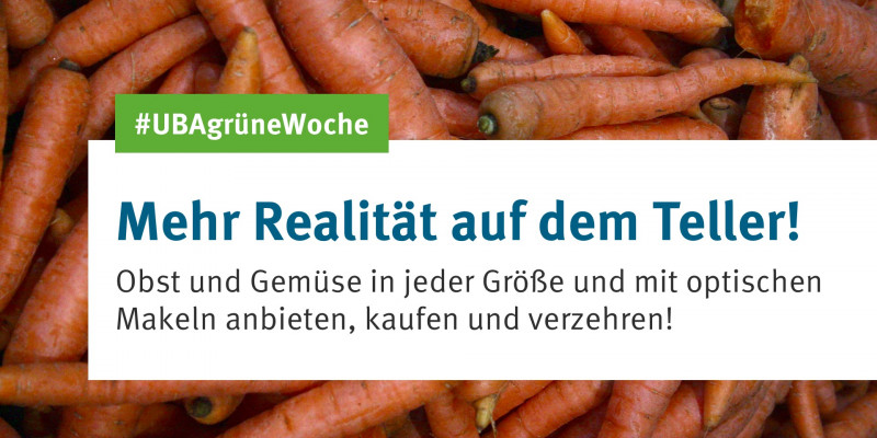 Eine Grafik mit Mohrrüben im Hintergrund und der Information, dass optisch perfektes Obst und Gemüse die Umwelt und das Klima belasten und das UBA fordert, mehr unperfektes Obst und Gemüse im Verkauf zuzulassen. 