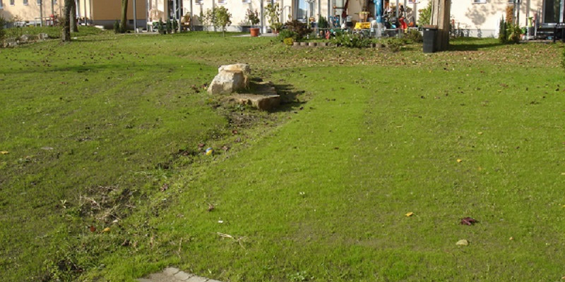 Auf dem Rasenboden verlaufen Rinnen für Regenwasserabfluss. Im Hintergrund stehen Wohnhäuser mit Terassen zum Rasen hin.