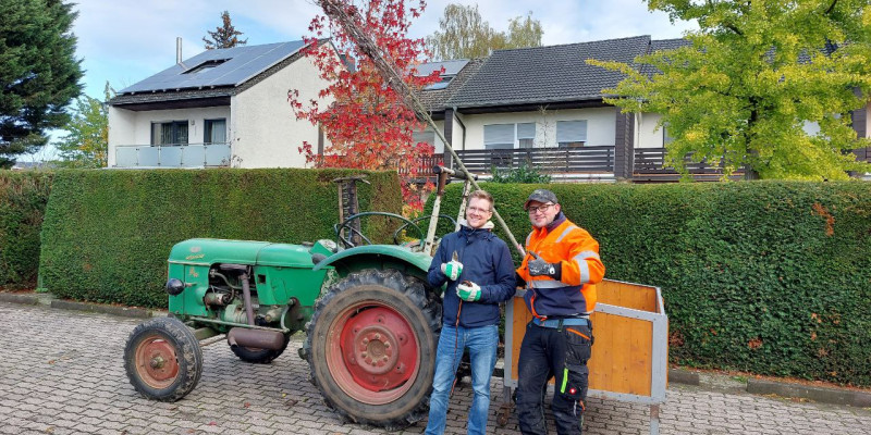 Zwei junge Männer transportieren ihren neuen Lieblingsbaum mit einem Traktor. Die Transporte der Bäume sind immer vielfältig.