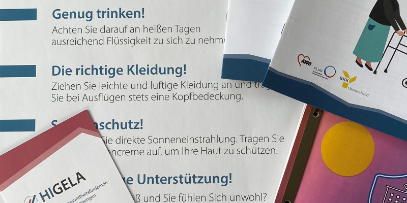 Das Foto zeigt eine Auswahl der im Projekt entstandenen Materialien, es ist ein Poster, ein Flyer und Broschüren zu sehen.