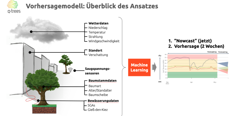 Auf dem Bild sieht man eine Grafik des Vorhersagemodells. 