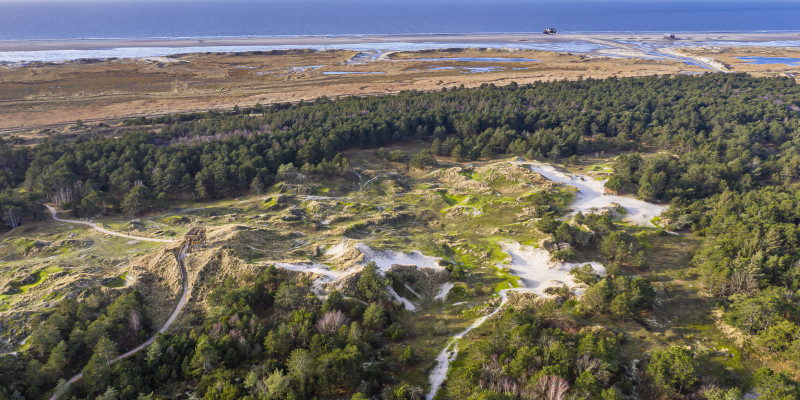 Luftbild der Dünenlandschaft bei Maleens Knoll in St. Peter-Ording mit Blickrichtung West über die Salzwiesen des Nationalparks