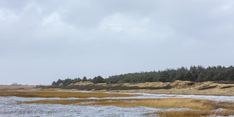 Landunter in den Salzwiesen von St. Peter-Ording auf der Höhe des Dünengebietes Marleens Knoll bei einem Sturm-Hochwasser.