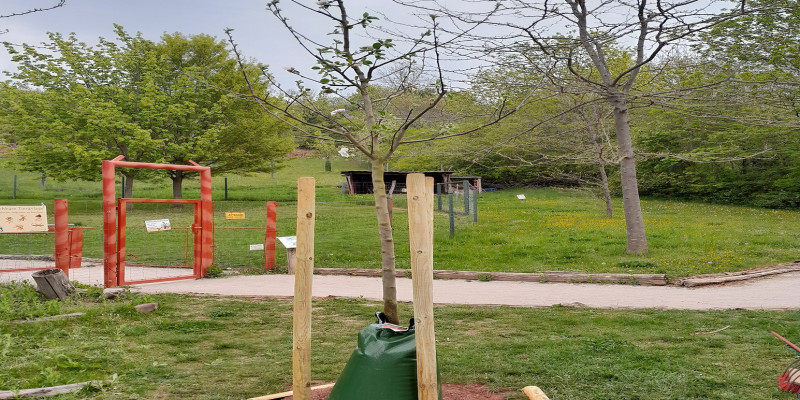 Ein junger frisch gepflanzter Baum wächst mit Bewässerungssack und Stützpfählen. Im Hintergrund erwächst viel grüne Landschaft.