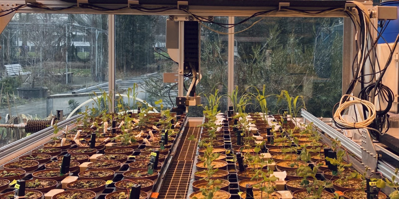 Versuchsaufbau im Gewächshaus der Universität zu Köln mit dem Farmbot, Sensoren und Pflanzen 