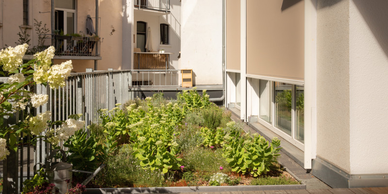 Balkon inklusive der Boden wurde mit Grünpflanzen bepflanzt vor beiger Haussfassade.