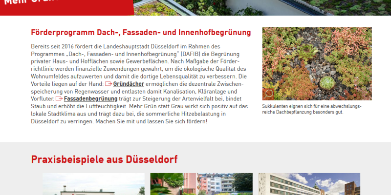 Screenshot der städtischen Infoseite zum DAFIB-Förderprogramm.