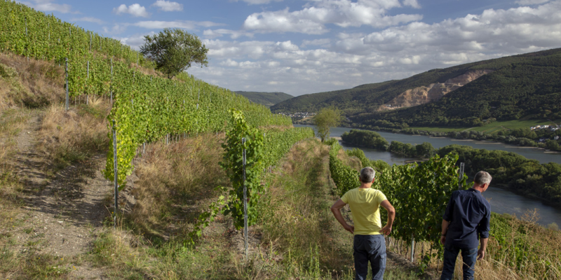 Personen stehen für Interview mit Winzer*innen im querterrassierten Weinberg zusammen.