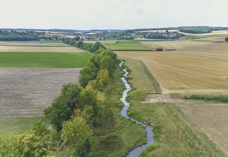 Luftbild der Wern, die schwach geschwungen in einem Entwicklungskorridor verläuft. Ein Ufer ist mit dichten Gehölzen bewachsen. Entlang des gegenüberliegenden Ufers wachsen Gräser. An den Entwicklungskorridor grenzen landwirtschaftliche Flächen an.