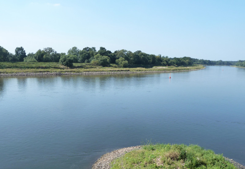 Ein Bild vom Fluss Elbe