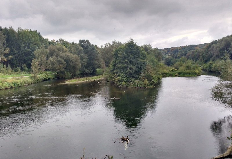 Foto des Flusses Ruhr