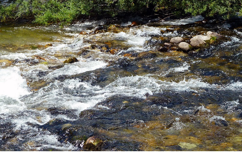 Stromschnelle in einem naturnahmen Mittelgebirgsfluss.