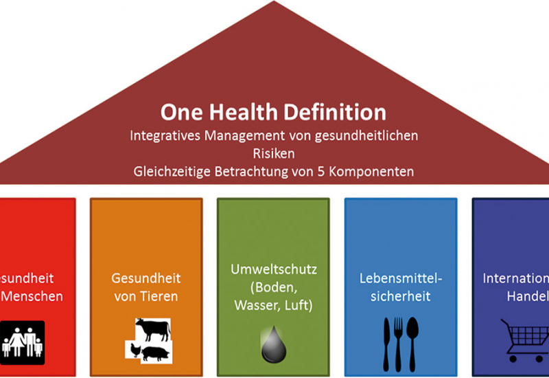 Das Schema stellt die Komponenten des Gesundheitsmanagements als fünf Säulen dar: 1. Gesundheit von Menschen, 2. Gesundheit von Tieren, 3. Umweltschutz (Boden, Wasser, Luft), 4. Lebensmittelsicherheit, 5. Internationaler Handel. Diese Säulen tragen das Dach, welches die One-Health-Definition beinhaltet: Integratives Management von gesundheitlichen Risiken, gleichzeitige Betrachtung von fünf Komponenten.