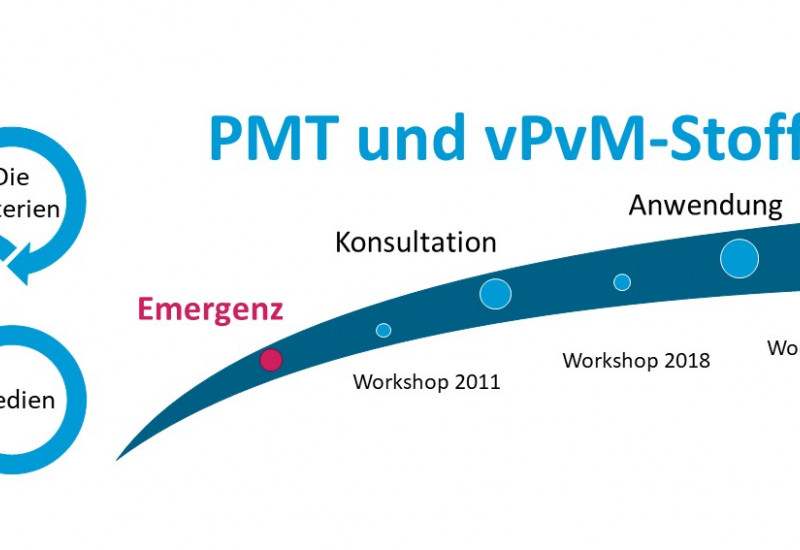 Emergenz der PMT/vPvM-Kriterien