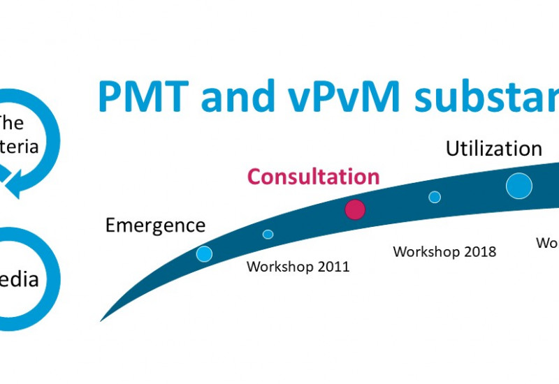 Public consultation on the PMT/vPvM criteria