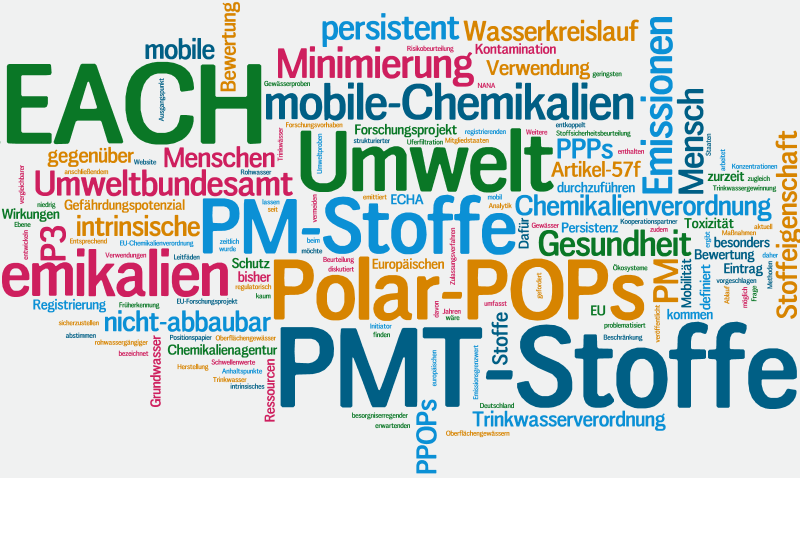 Visualisierung der Fachbegriffe rund um REACH und PMT-Stoffe als Wortwolke.