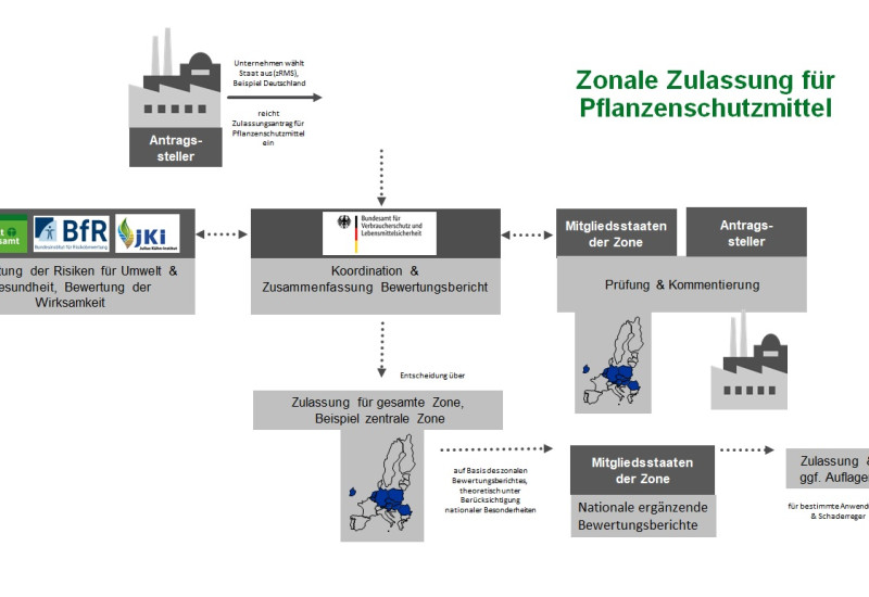 Die Grafik erklärt das komplizierte Zulassungsverfahren für Pflanzenschutzmittel, wie im Text beschrieben.